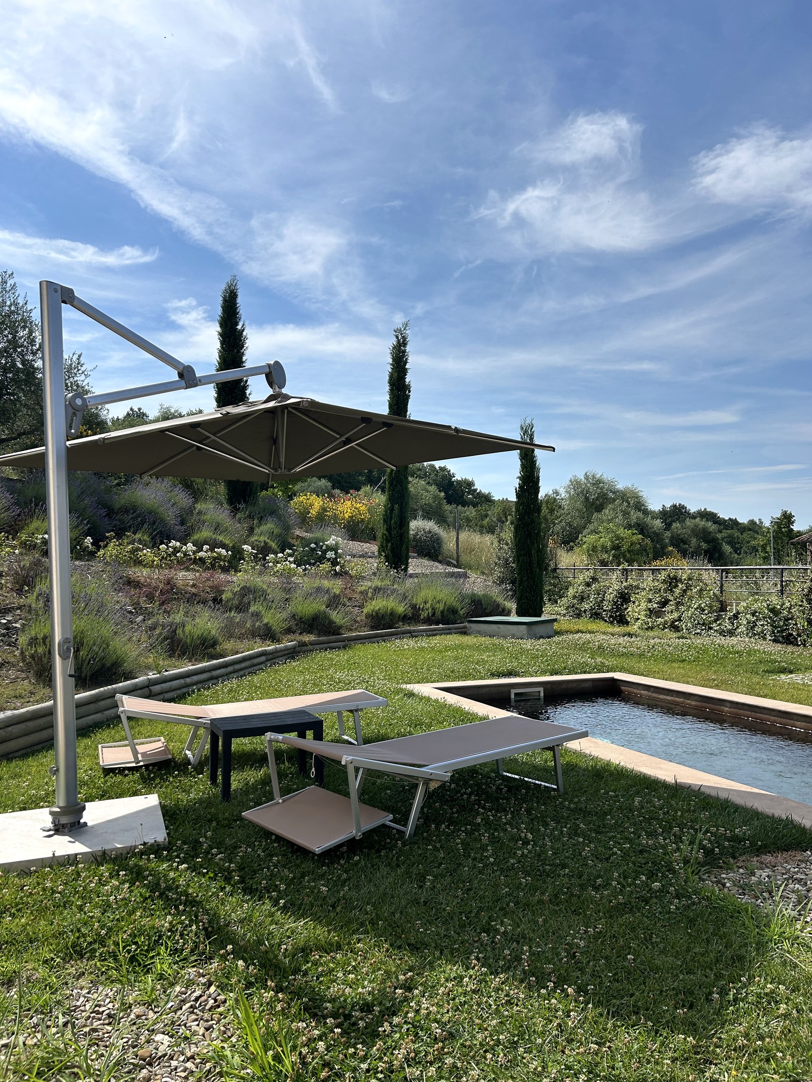 The pool garden with sun loungers under the shade sail and lavender beds